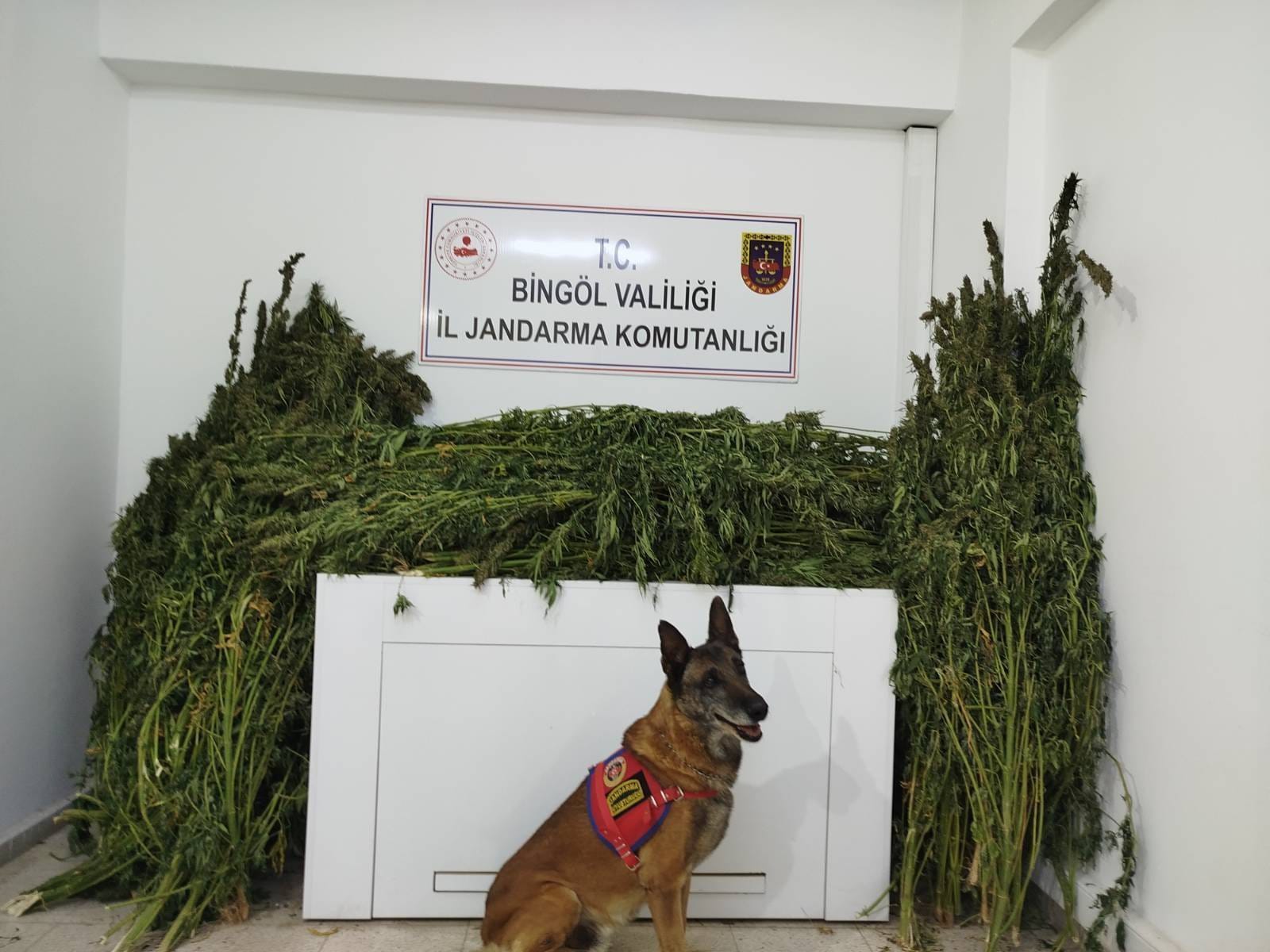 E40C4096 B184 44E3 93B5 De4Fcfaa9Db7