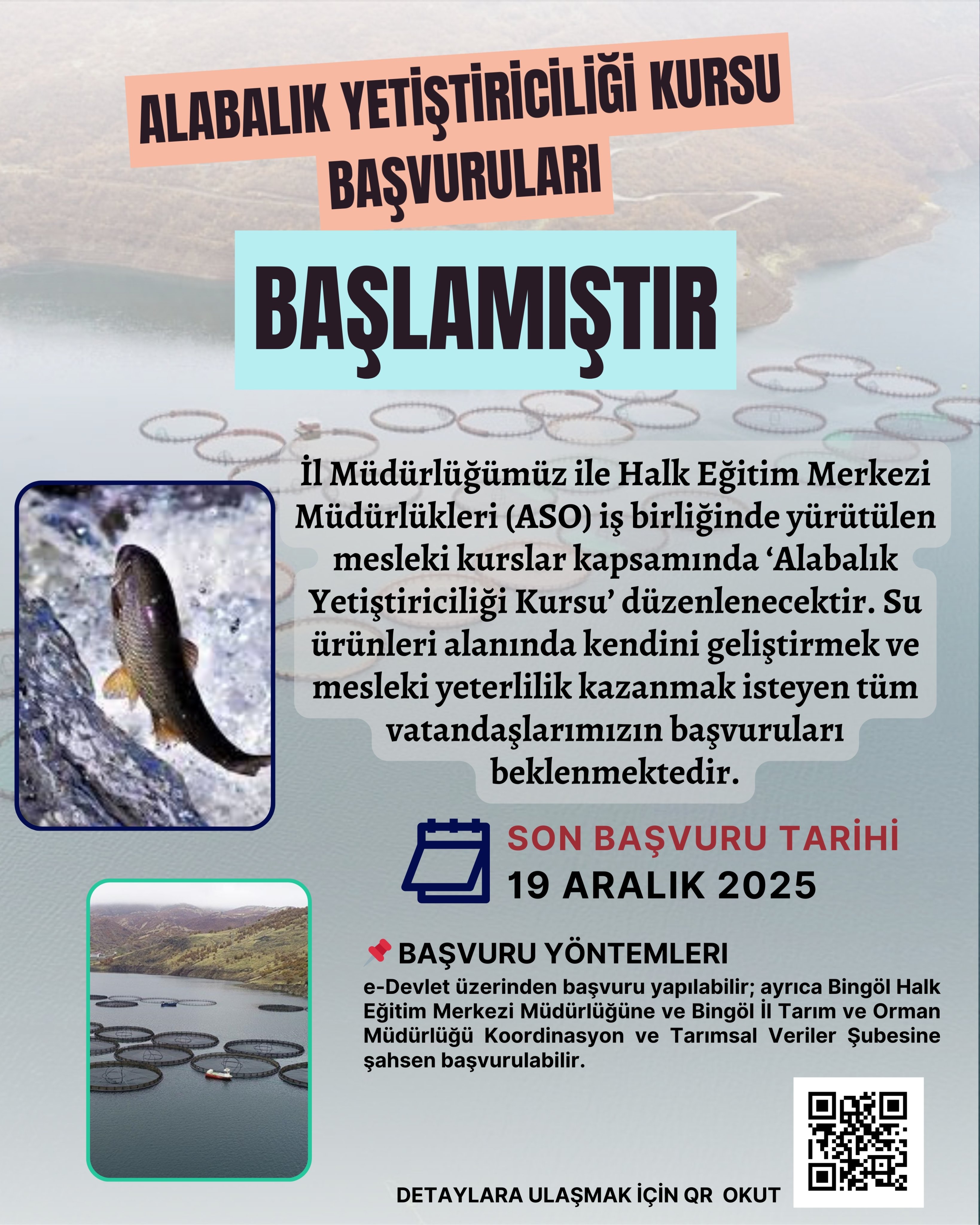 G7P Sroq W8 A I Bs X H