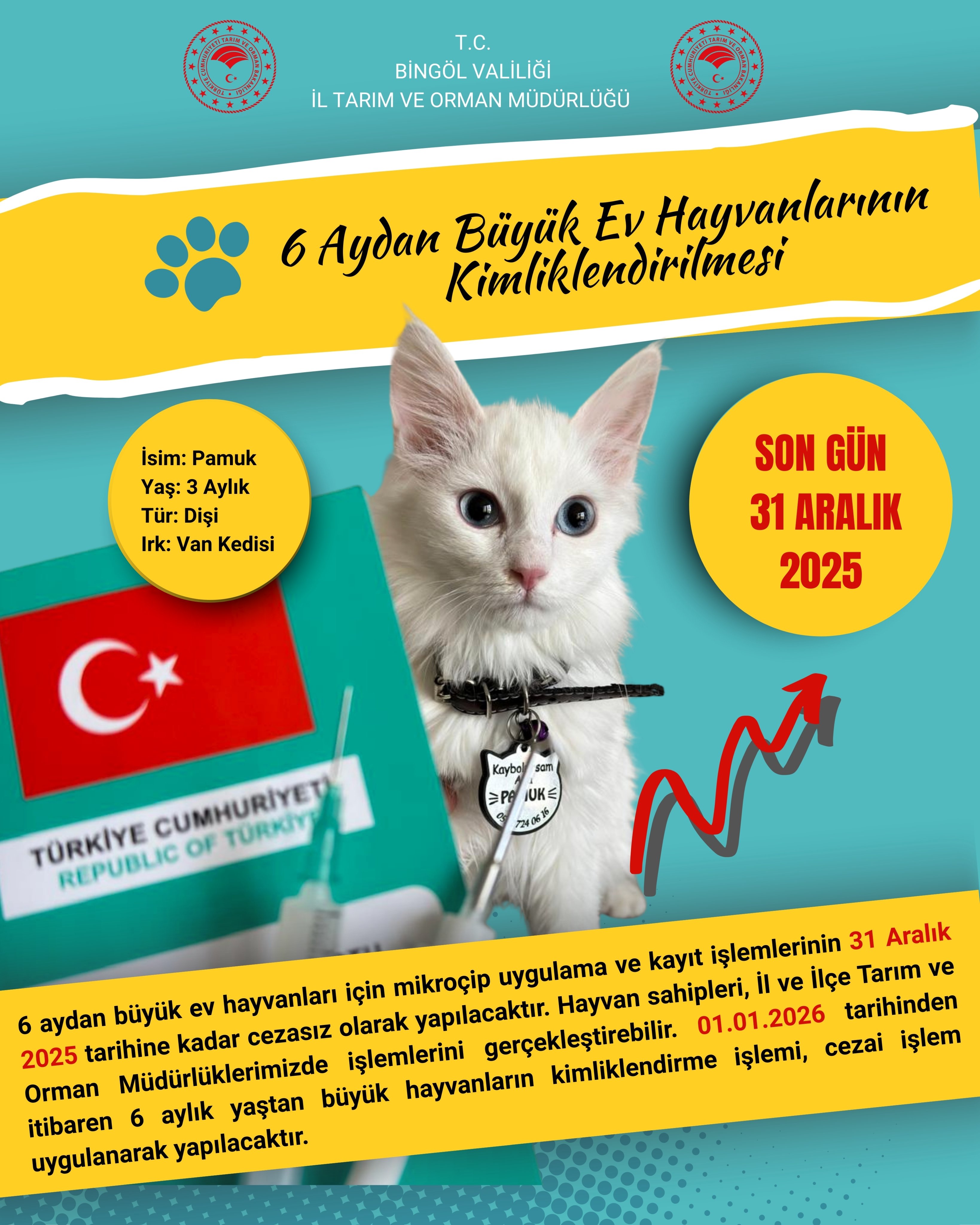 G9 F E S3 W M A Awbu4