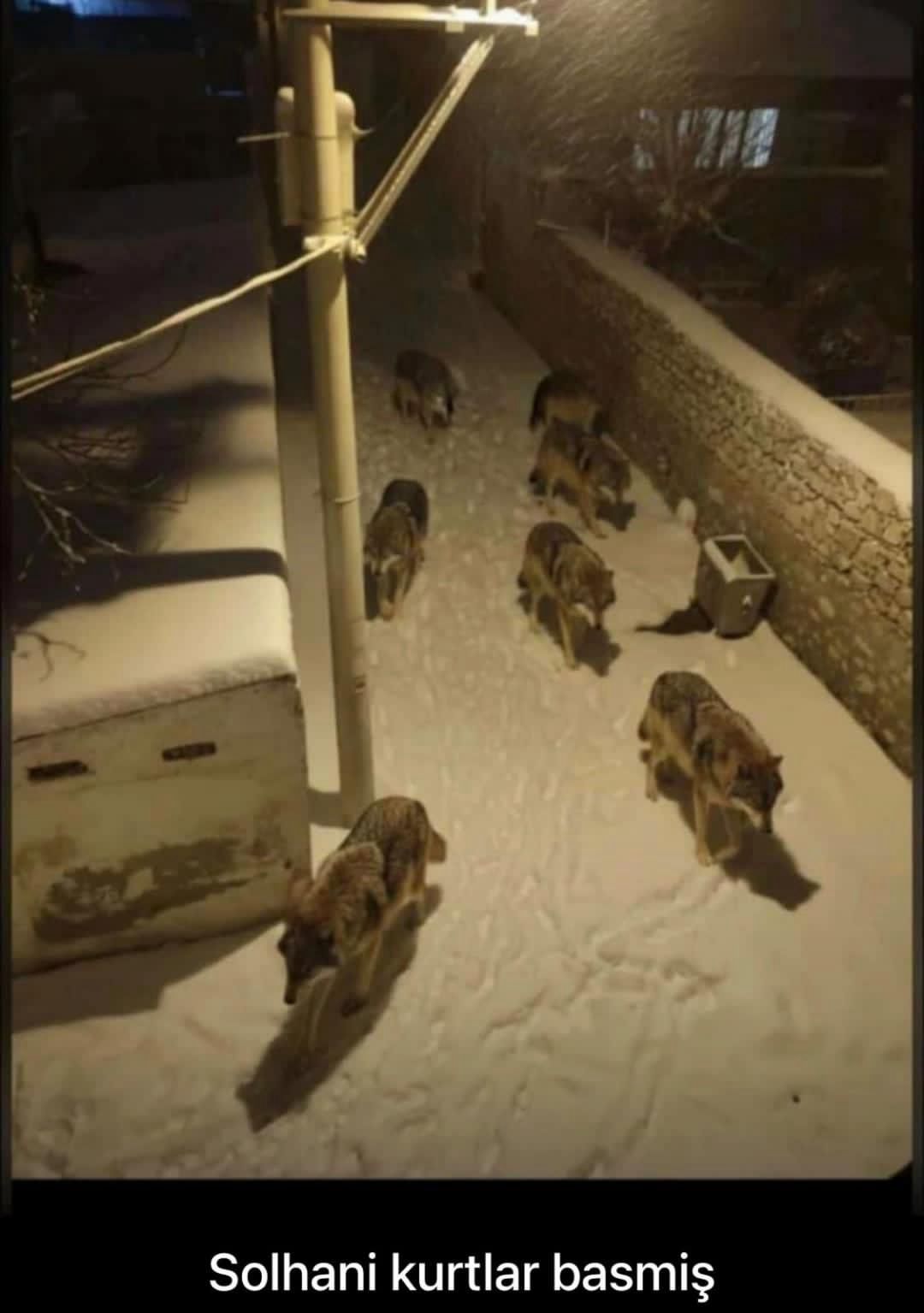 E80A2A5A 7159 4C45 9457 27Bc1B8F9F21