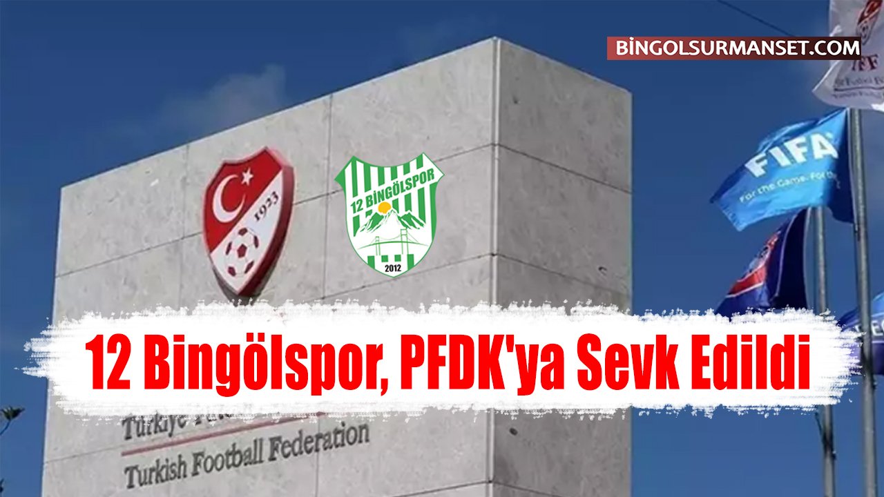 12 Bingölspor, PFDK'ya Sevk Edildi
