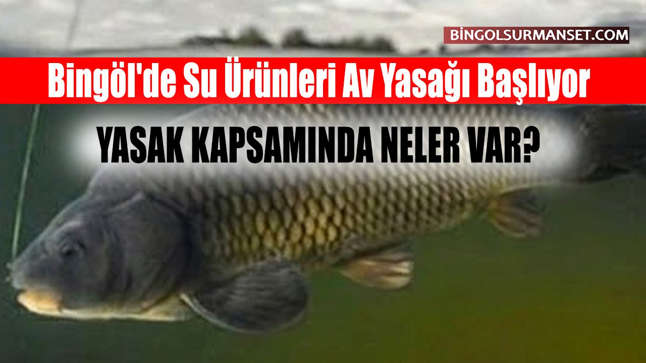 Bingöl'de Su Ürünleri Av Yasağı Başlıyor