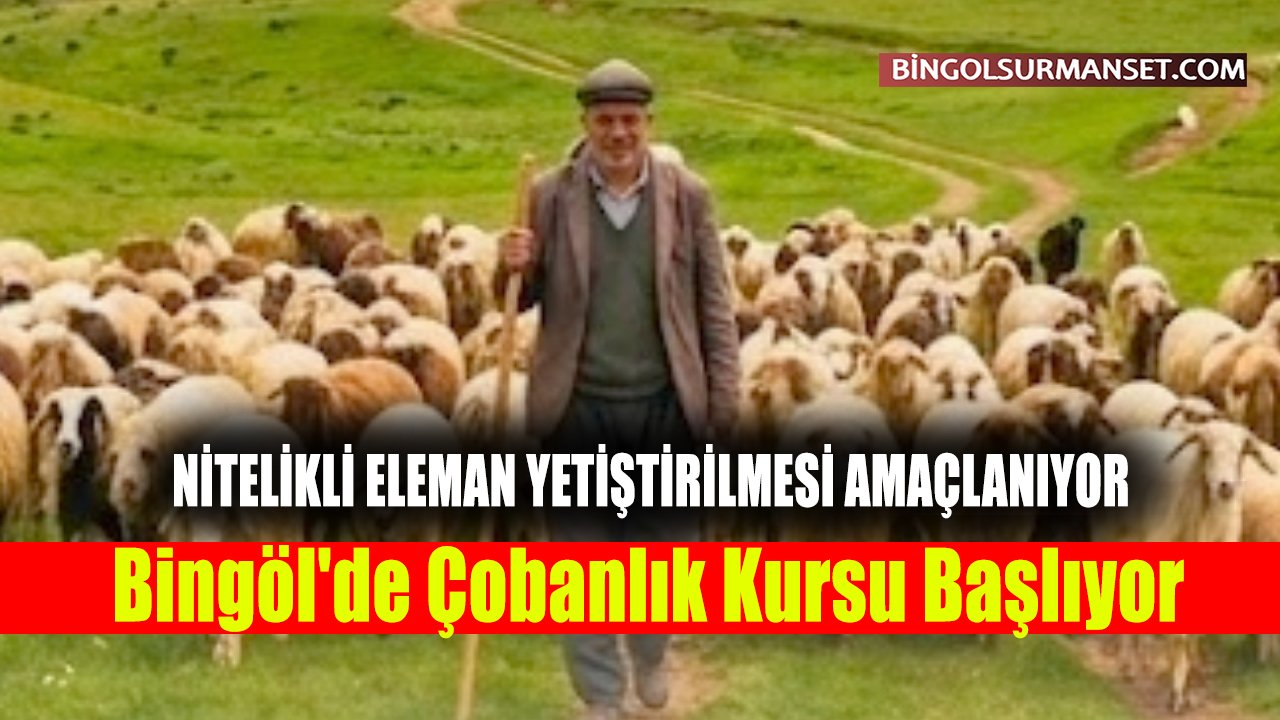 Bingöl'de Çobanlık Kursu Açılacak