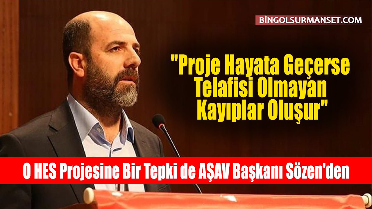 O HES Projesine Bir Tepki de AŞAV Başkanı Sözen'den