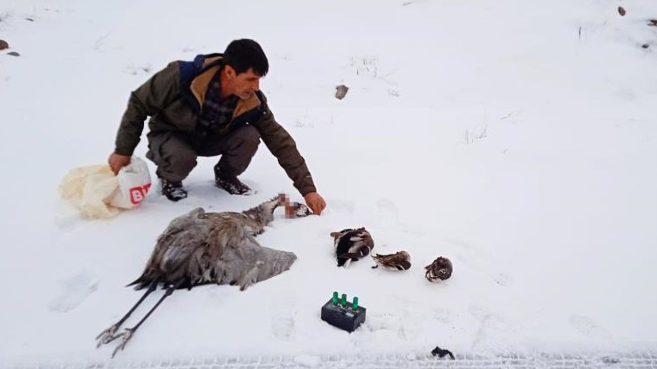 Bingöl’de Kaçak Avcılar Turna ve 3 Ördeği Vurdu