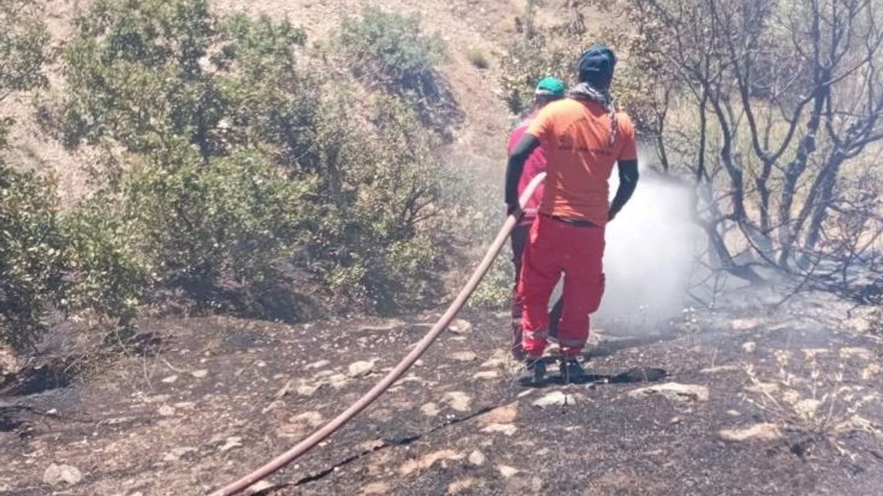 Bingöl'de Orman Yangını Büyümeden Söndürüldü