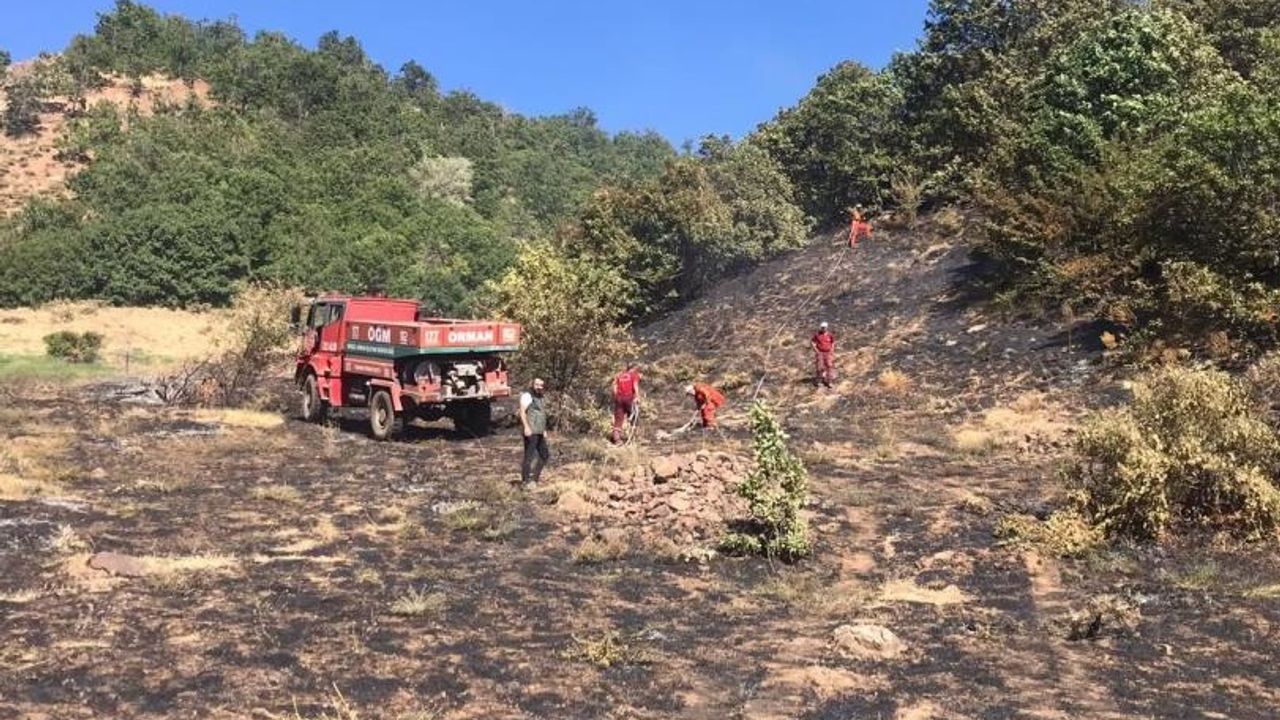 Bingöl’de Çıkan Orman Yangını Büyümeden Söndürüldü