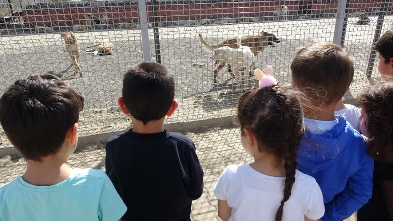 Bingöl’de Çocuklar Hayvan Barınağını Ziyaret Etti
