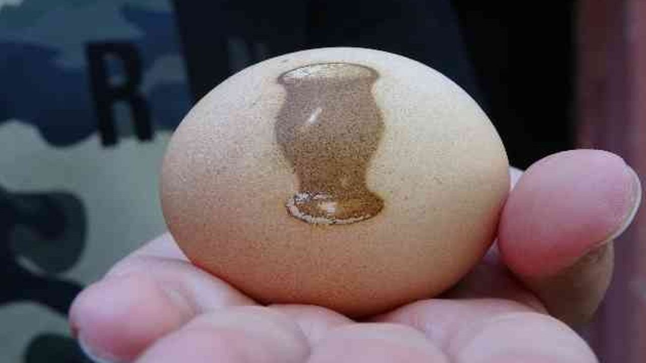 Vazo Desenli Yumurta Şaşkınlığı