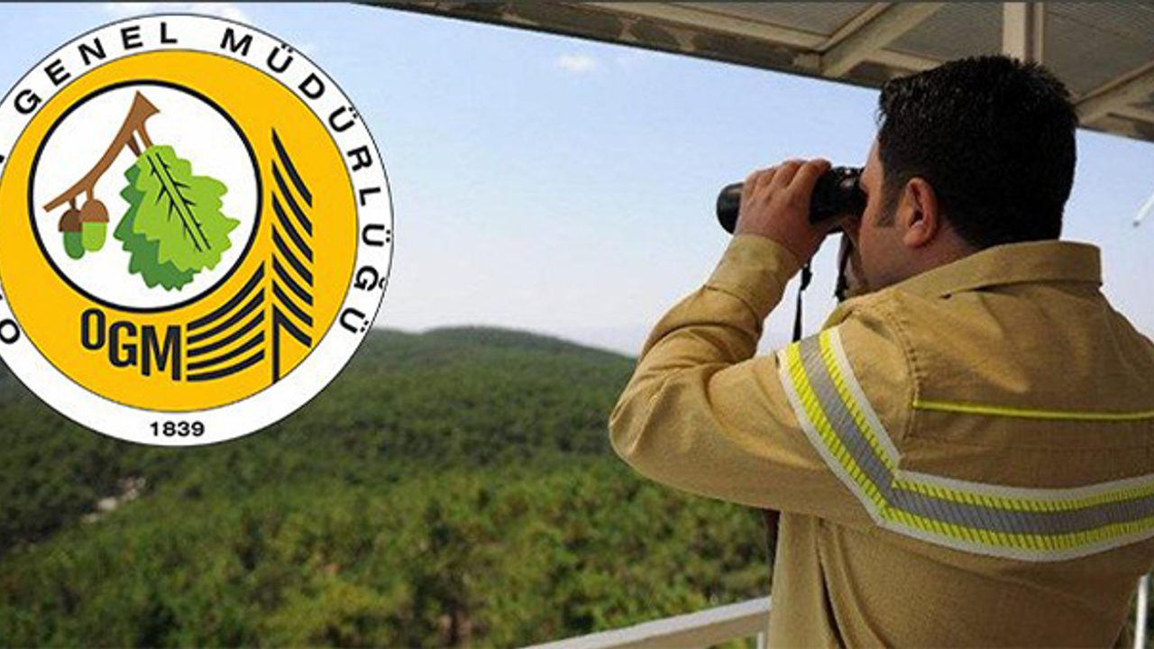 Orman Genel Müdürlüğü Orman Muhafaza Memuru Alacak