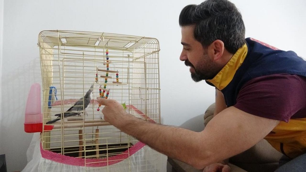 Enkazdan Canlı Çıkan Papağanı Sağlık Personeli Sahiplendi