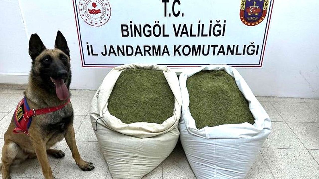 Bingöl’de 45 Kilo Uyuşturucu Madde Ele Geçirildi
