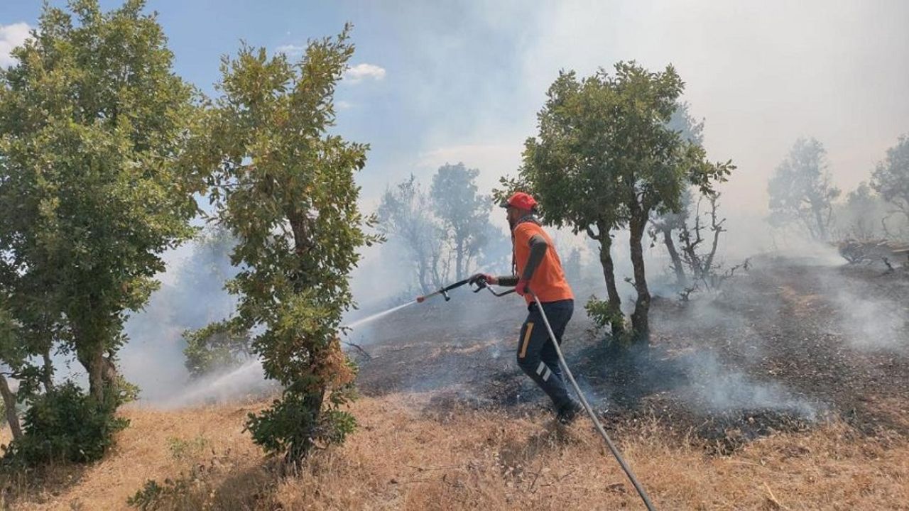 Bingöl'de 5 Farklı Noktada Çıkan Yangın Kontrol Altına Alındı