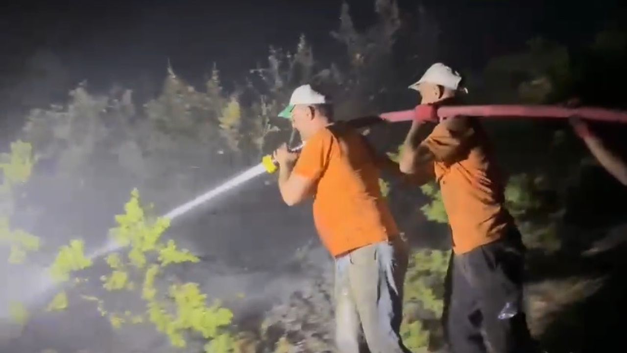 Bingöl’de Çıkan Orman Yangını Kontrol Altına Alındı