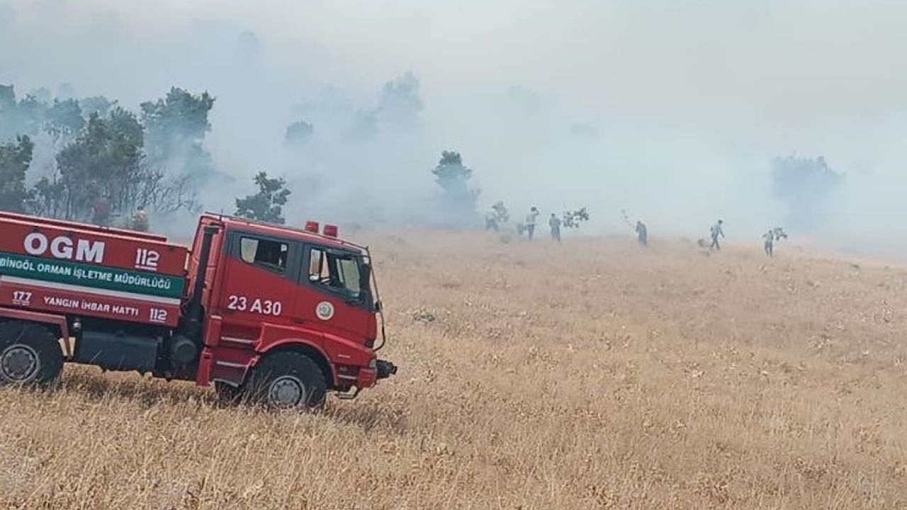 Bingöl’deki Orman Yangını Kontrol Altına Alındı