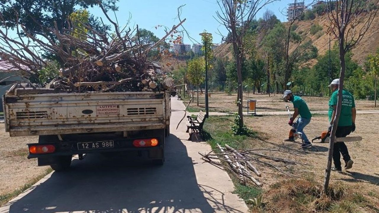 Bingöl Belediyesi, Park ve Bahçelerde Bakım Onarım Çalışması Başlattı