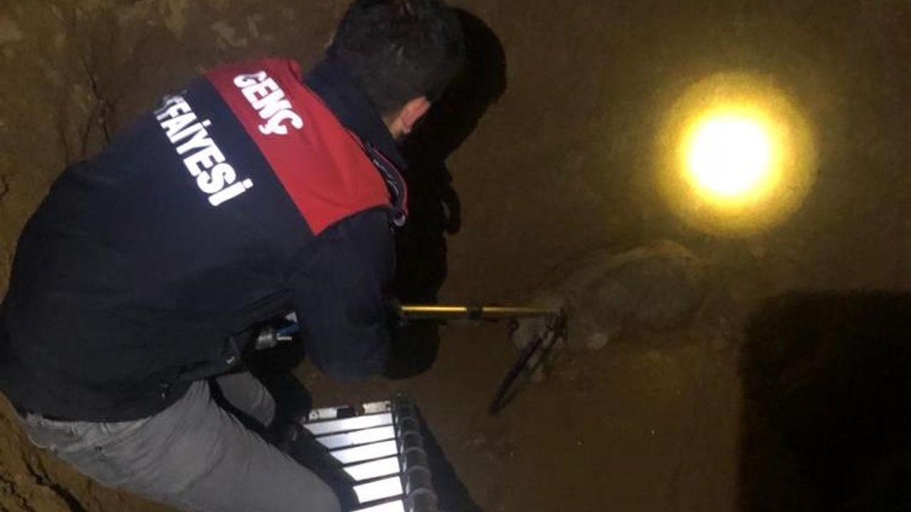 Bingöl’de 3 Metrelik Çukura Düşen Köpeği İtfaiye Kurtardı