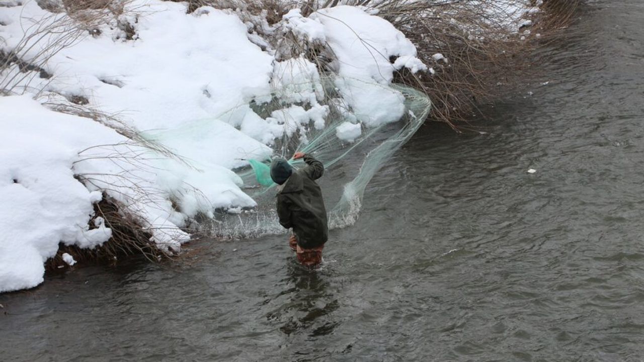 Karlı havada tutulan balıklar satışa sunuluyor