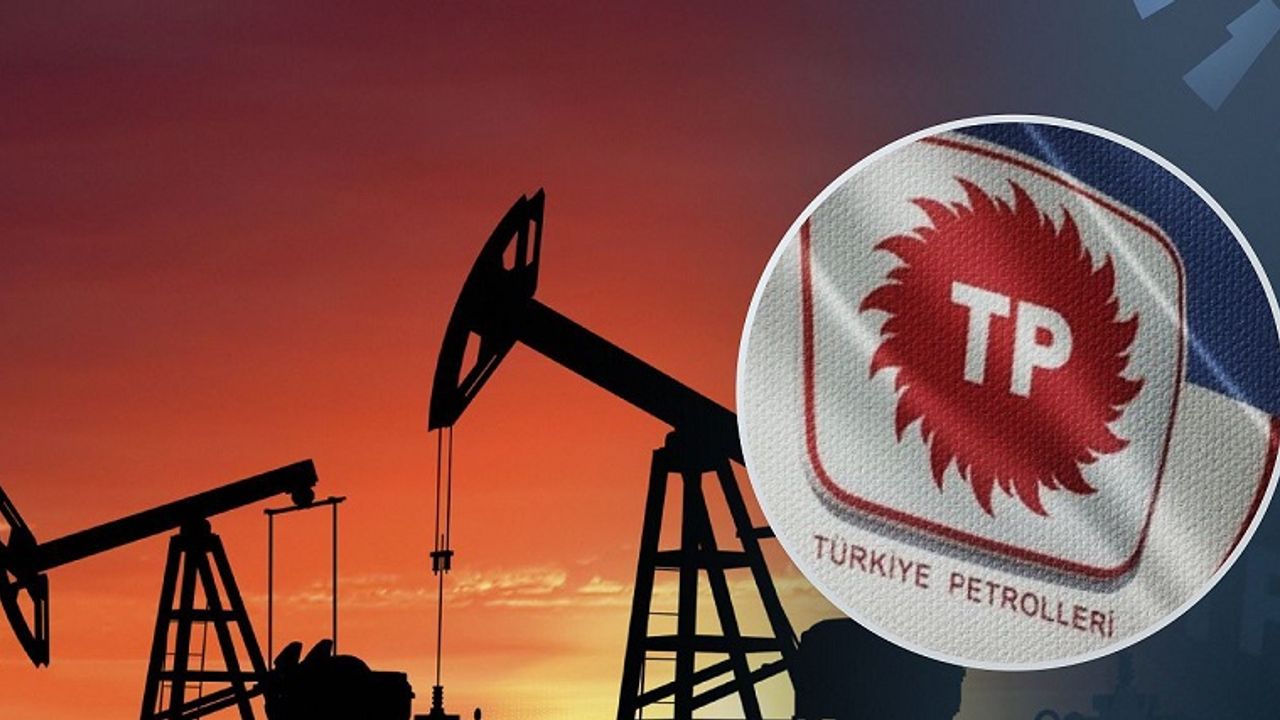 TPAO'ya 14 ilde 18 saha için petrol arama ruhsatı verildi