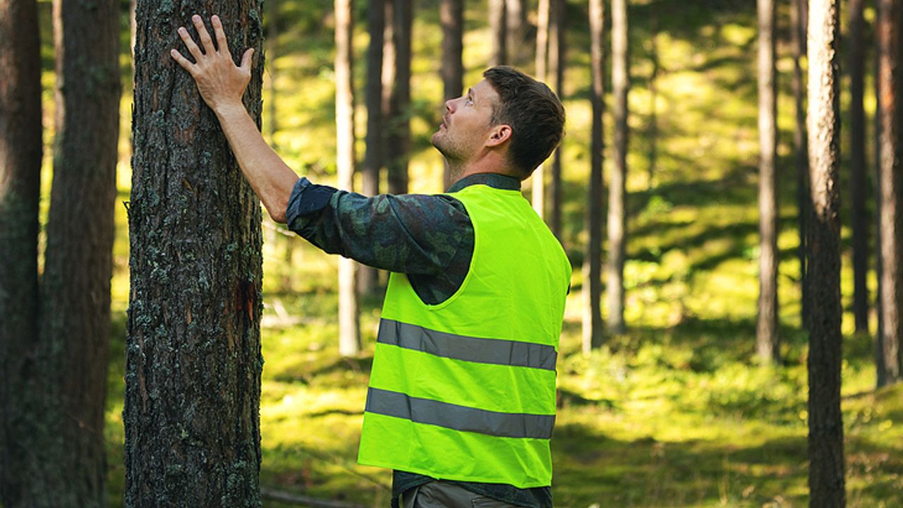 Tarım ve Orman Bakanlığı Bingöl’de Kaç Personel Alacak? Detaylar Bu Haberde