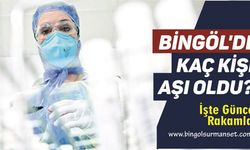 Bingöl’de Kaç Kişi COVİD - 19 Aşısı Oldu?