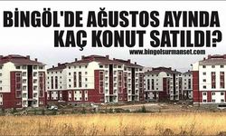 Bingöl’de Ağustos Ayında Kaç Konut Satıldı?