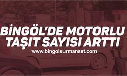 Motorlu Taşıt Sayısı 43 Artarak 17 Bin 432'ye Ulaştı