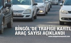 Bingöl’de Araç Sayısı Artmaya Devam Ediyor