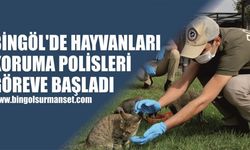 Bingöl’de Hayvanları Koruma Polisleri Göreve Başladı