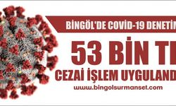 Bingöl'de Covid-19 Denetimi, 53 Bin TL Cezai İşlem Uygulandı