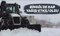 Bingöl’de Kar Yağışı Etkili Oldu