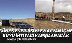 Güneş Enerjisiyle Hayvan İçme Suyu İhtiyacı Karşılanacak