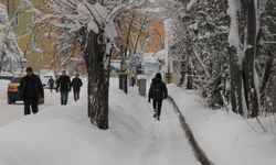 281 Köy Yolu Ulaşıma Kapandı