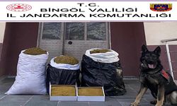 Bingöl'de 75 Kilo Kıyılmış Tütün Ele Geçirildi