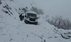 Çığ Düştü, Yol Ulaşıma Kapandı