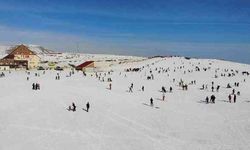 Hesarek’e Ziyaretçi Akını