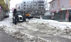 Karlıova'da Karlar Kamyonlarla Kent Dışına Taşınıyor