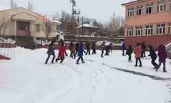 Karlıova’da Yağan Karın Tadını Çocuklar Çıkardı