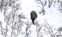 Dağ Keçileri İçin Doğaya Ot Bırakıldı