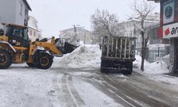 Karlıova’da Kar, Kamyonlarla Taşınmaya Devam Ediyor