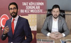 ‘TAVZ Bölgesinin Sorunları Yıllardır Neden Çözülmüyor’