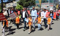 Bingöl’de Aileler ve Çocuklardan Kortej Yürüyüşü
