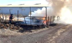 Kurumuş Ot Yangını Otomobile Sıçradı, Araç Küle Döndü