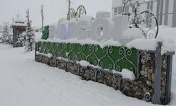 Bingöl'de Kar Kalınlığı 40 Santime Ulaştı