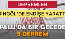 Palau’da 5 Deprem, Bingöl’de de Endişe Yarattı