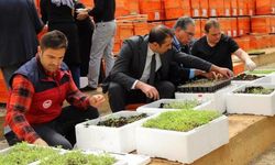 Bingöl’de Yüzde 75 Hibe İle 750 Bin Adet Fide Dağıtılacak