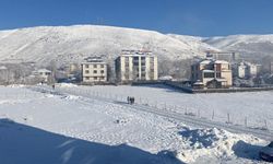 Karlıova'ya Kış Geri Geldi