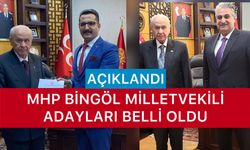 MHP Bingöl Milletvekili Adayı Belli Oldu