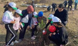 Adaklı'da Fidan Dikimi Yapıldı