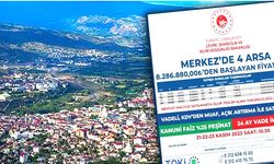 Bingöl'de Arsalar Satılacak!